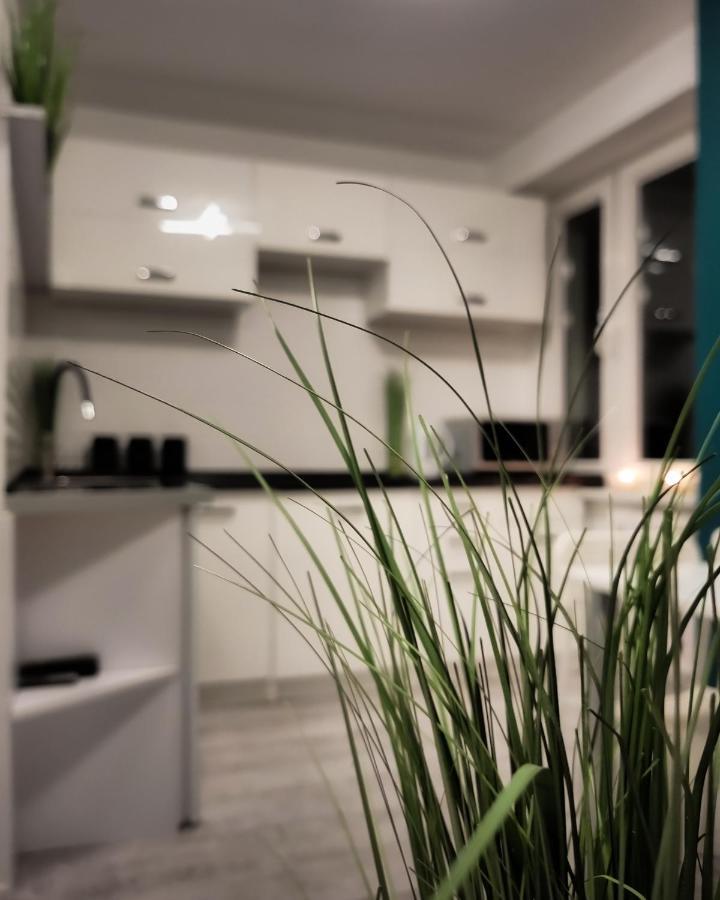 Apartament Green Mragowo-Mazury,Blisko Plaza, Centrum! Wi-Fi! Exterior photo